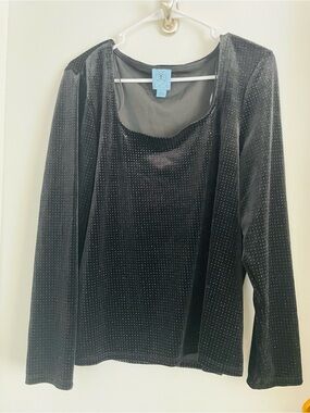 CeCe Black Velvet Long Sleeve Scoop Neck Top with Subtle Dot Sheen